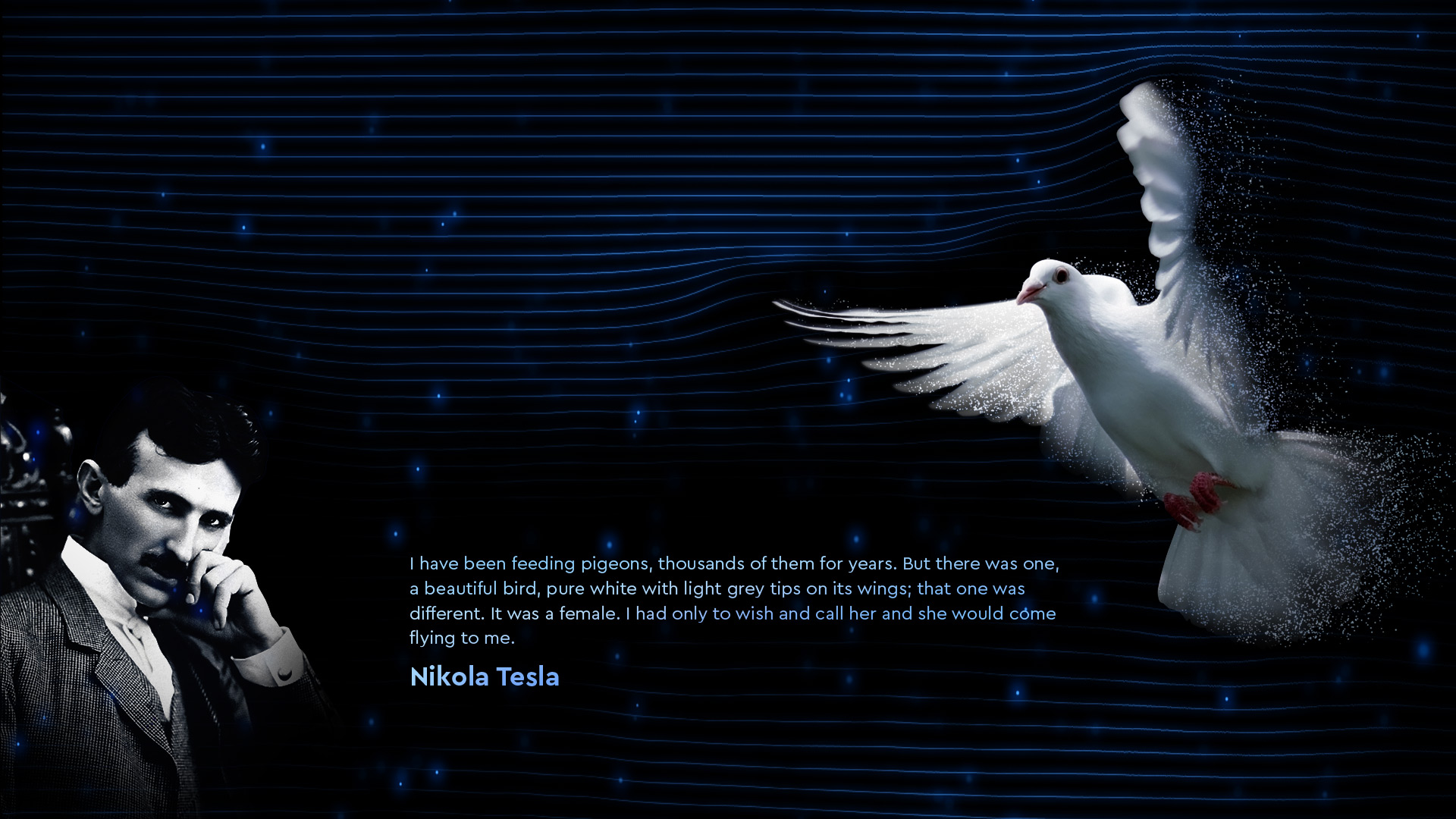 Tesla visual identity - Nikola Tesla about birds